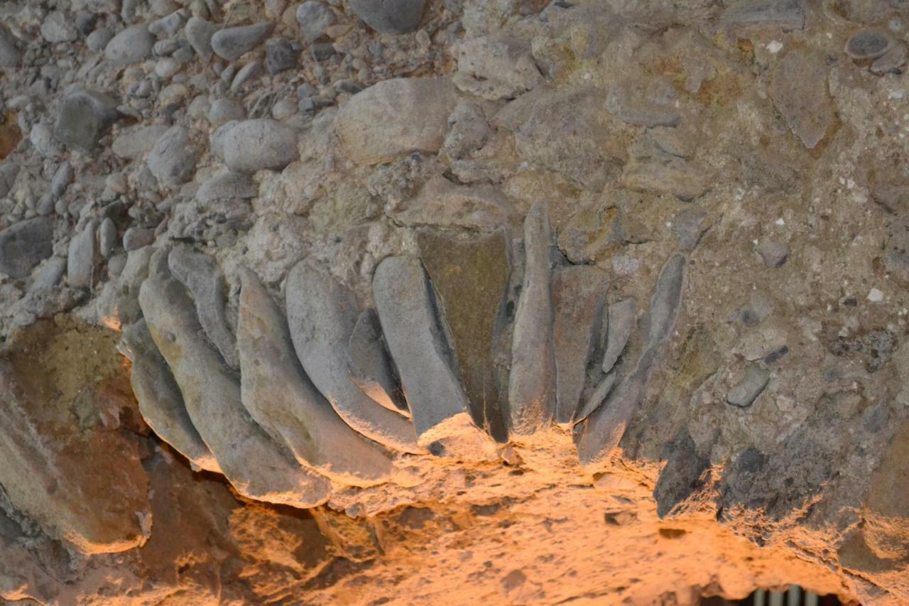 Residenza La Nivera Miglionico Dış mekan fotoğraf